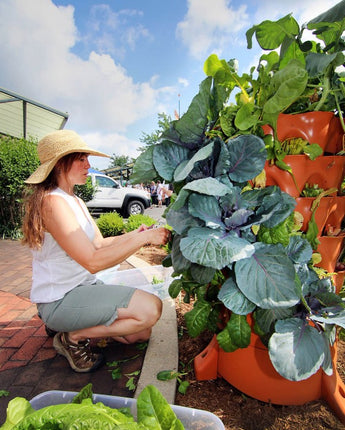 Grow plants with water